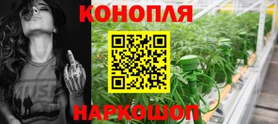 гашик Будённовск