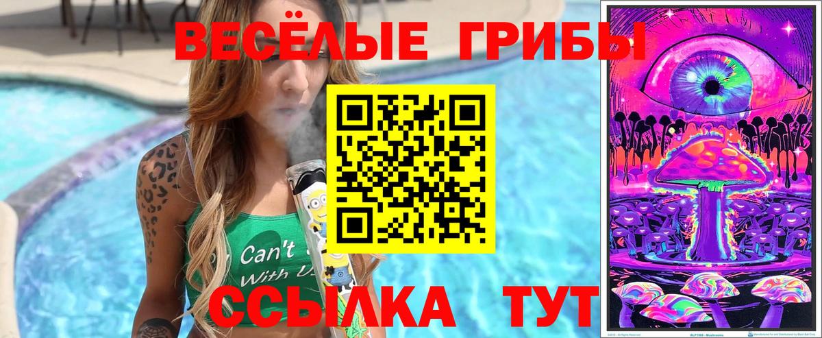 Псилоцибиновые грибы Magic Shrooms  Вход с VPN  Саров 