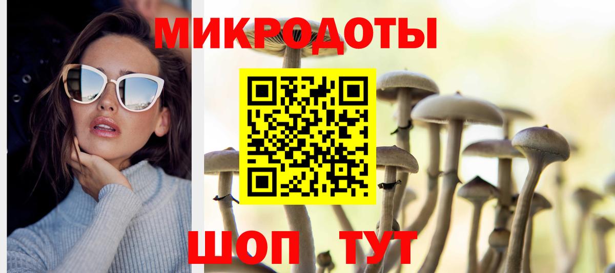 Псилоцибиновые грибы мицелий Саров